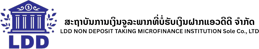 LDD Logo